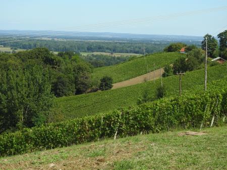 22. prireditev Pozdrav jeseni ob prazniku Marijinega vnebovzetja 105